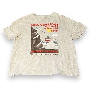Abercrombie & Fitch grey Breckinridge, Colorado T-Shirt in size M.